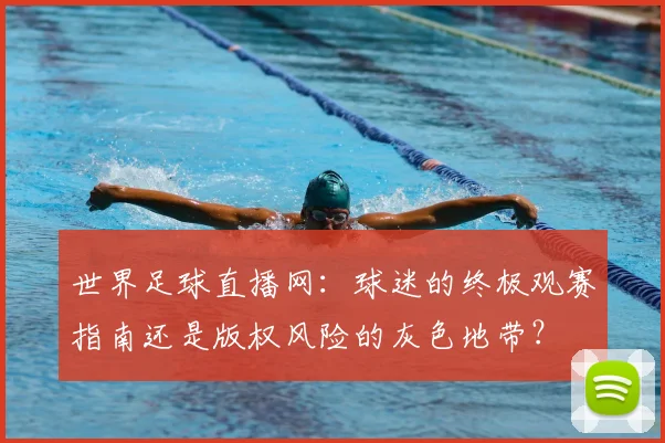 世界足球直播网:球迷的终极观赛指南还是版权风险的灰色地带?