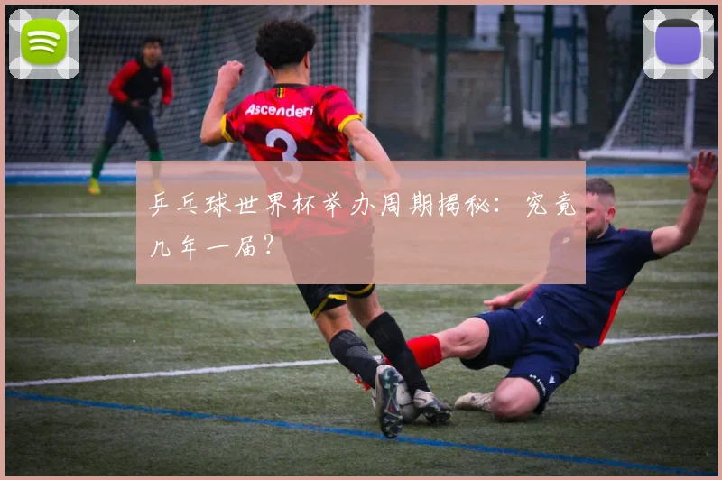 乒乓球世界杯举办周期揭秘:究竟几年一届?