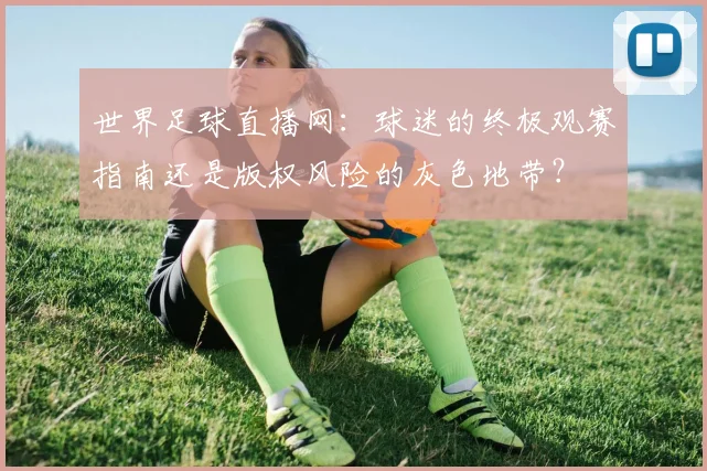 世界足球直播网:球迷的终极观赛指南还是版权风险的灰色地带?